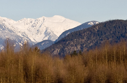 Habitat Enterprises (habitatenterprises.ca) provides greenhouse gas (GHG) market and project expertise to help companies, communities and other organizations reduce emissions to comply with new regulations. 